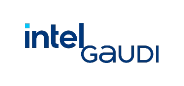 Intel Gaudi (1)
